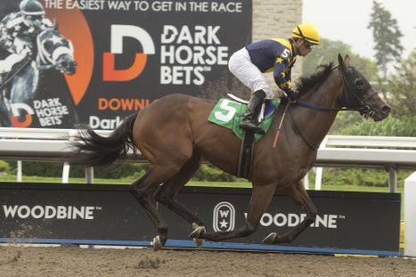 Treason and jockey Justin Stein winning an Allowance Optional Claiming race on September 4th 2022 at Woodbine (Michael Burns Photo)