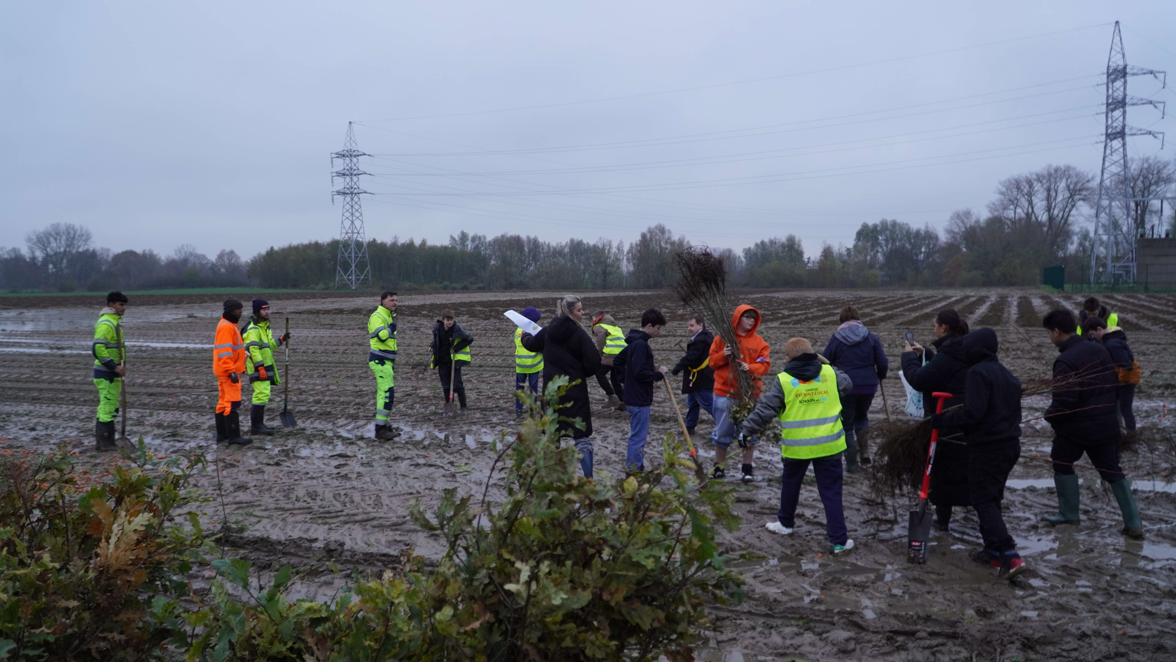 Nieuw stadsbos Menen-Wervik: samen planten we 9.000 bomen tijdens het Boomweekend