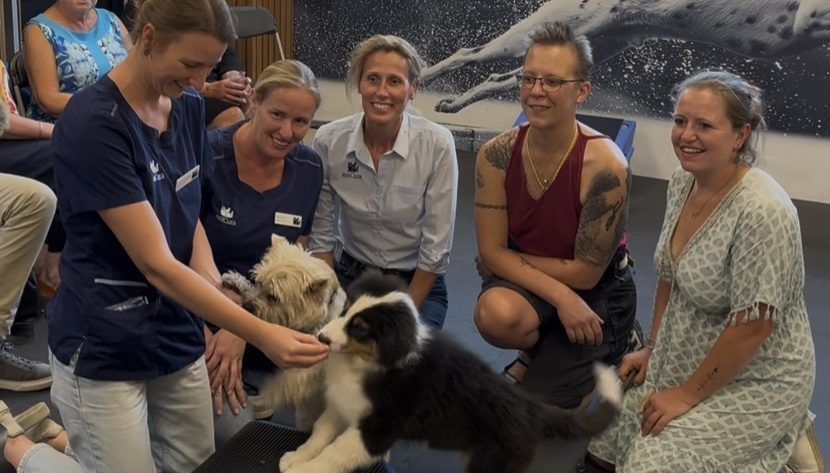 v.l.n.r. Charlotte Vandermarliere (dierenartsassistente bij AniCura Causus), Kell Reyserhove (dierenartsassistente bij AniCura Causus), Katrien Sinnaeve (praktijkmanager en dierenarts bij AniCura Causus), baasje Laurence met pup Vénom en baasje Raani met pup Poppy v.l.n.r. Charlotte Vandermarliere (dierenartsassistente bij AniCura Causus), Kell Reyserhove (dierenartsassistente bij AniCura Causus), Katrien Sinnaeve (praktijkmanager en dierenarts bij AniCura Causus), baasje Laurence met pup Vénom en baasje Raani met pup Poppy