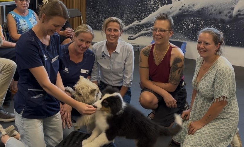v.l.n.r. Charlotte Vandermarliere (dierenartsassistente bij AniCura Causus), Kell Reyserhove (dierenartsassistente bij AniCura Causus), Katrien Sinnaeve (praktijkmanager en dierenarts bij AniCura Causus), baasje Laurence met pup Vénom en baasje Raani met pup Poppy v.l.n.r. Charlotte Vandermarliere (dierenartsassistente bij AniCura Causus), Kell Reyserhove (dierenartsassistente bij AniCura Causus), Katrien Sinnaeve (praktijkmanager en dierenarts bij AniCura Causus), baasje Laurence met pup Vénom en baasje Raani met pup Poppy