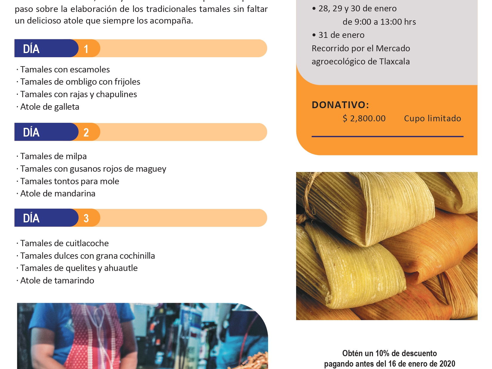 … “de insectos tus tamales”, un curso único para la próxima Candelaria