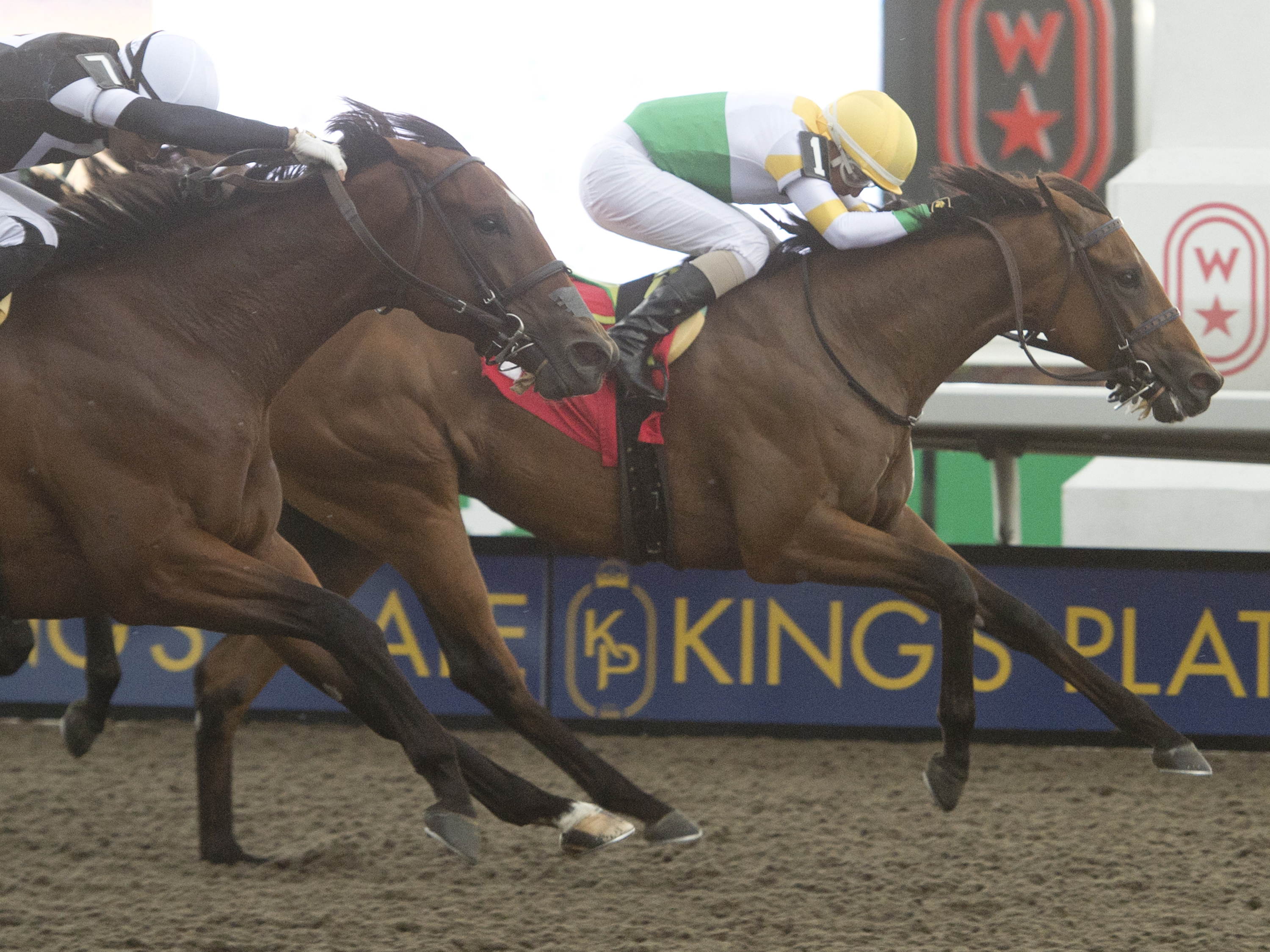 King’s Plate prep: Carroll pair set for Queenston Stakes test