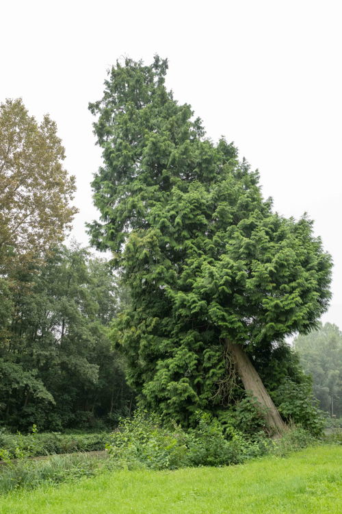 Domein Calmeyn © Bea Borgers-8