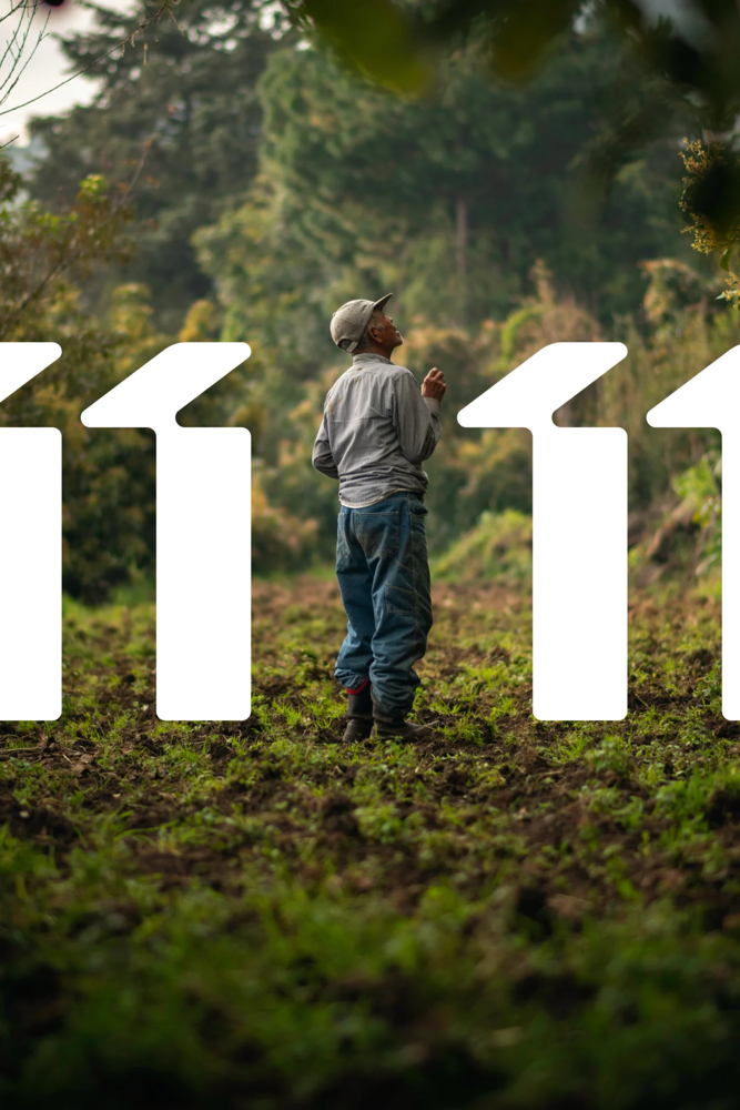 11.11.11 - Strength in numbers