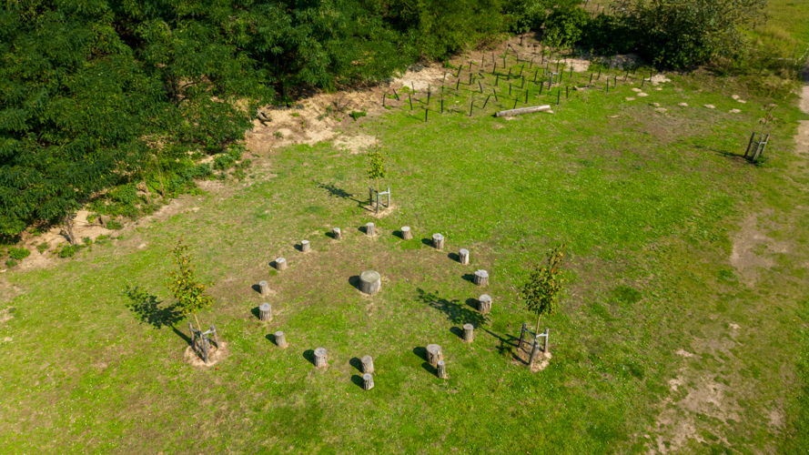 Natuurlijke speelelementen in de Warande