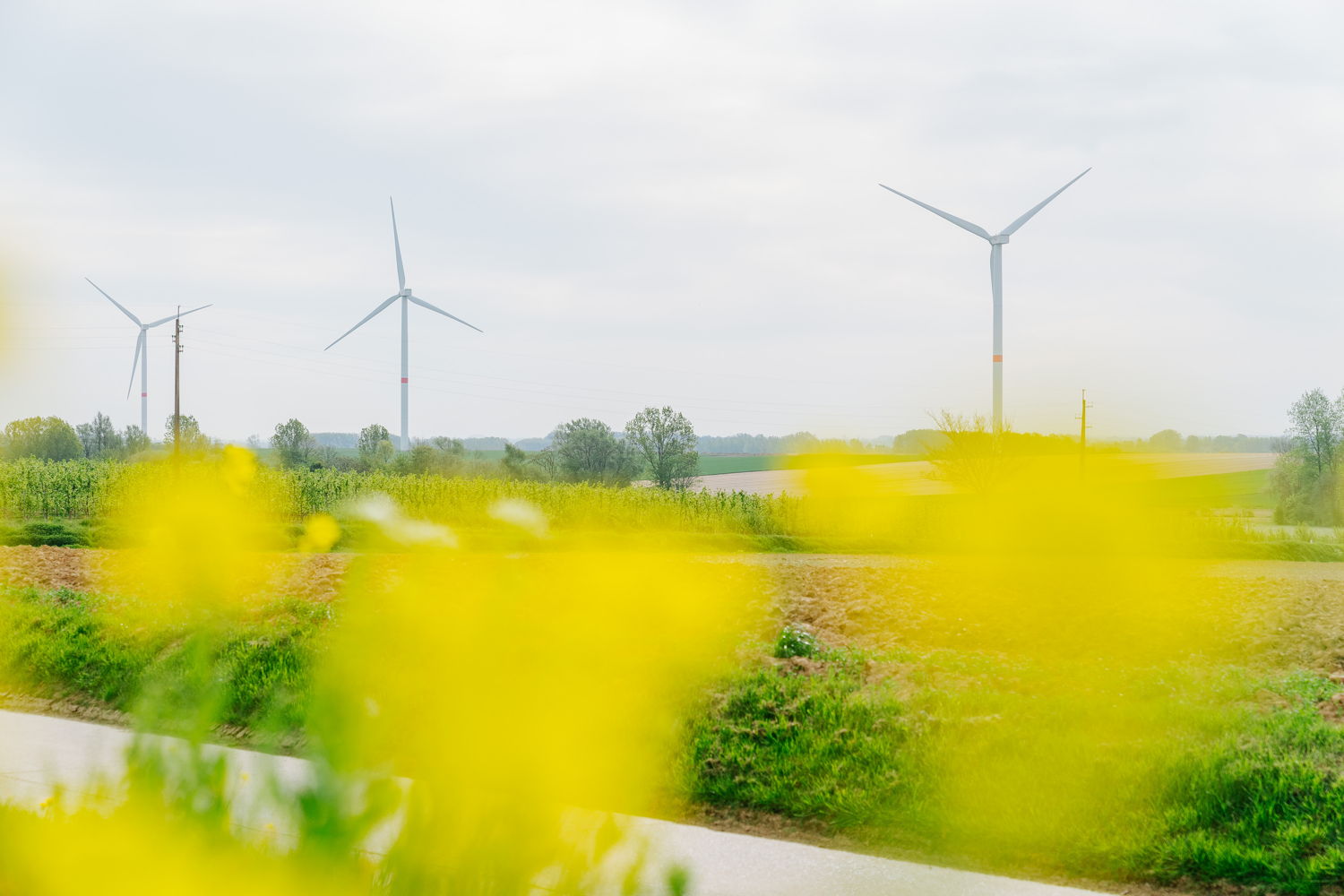 Windmolens in Villers copyright Luminus