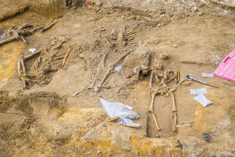 De graven liggen vlak naast elkaar. Dikwijls is de grafkuil nog te herkennen als een donkere verkleuring in de gele ondergrond. ©Frederik Beyens De graven liggen vlak naast elkaar. Dikwijls is de grafkuil nog te herkennen als een donkere verkleuring in de gele ondergrond. ©Frederik Beyens