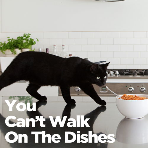 LURVIG_ YOU_CANT_WALK_ON_THE_DISHES
