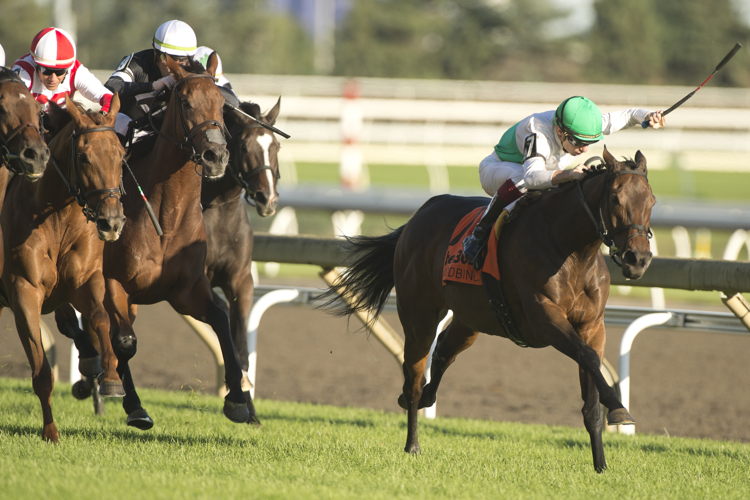 Mouffy and jockey Vincent Cheminaud winning the bet365 Dance Smartly Stakes (G2) on October 5, 2024 at Woodbine (Michael Burns Photo)