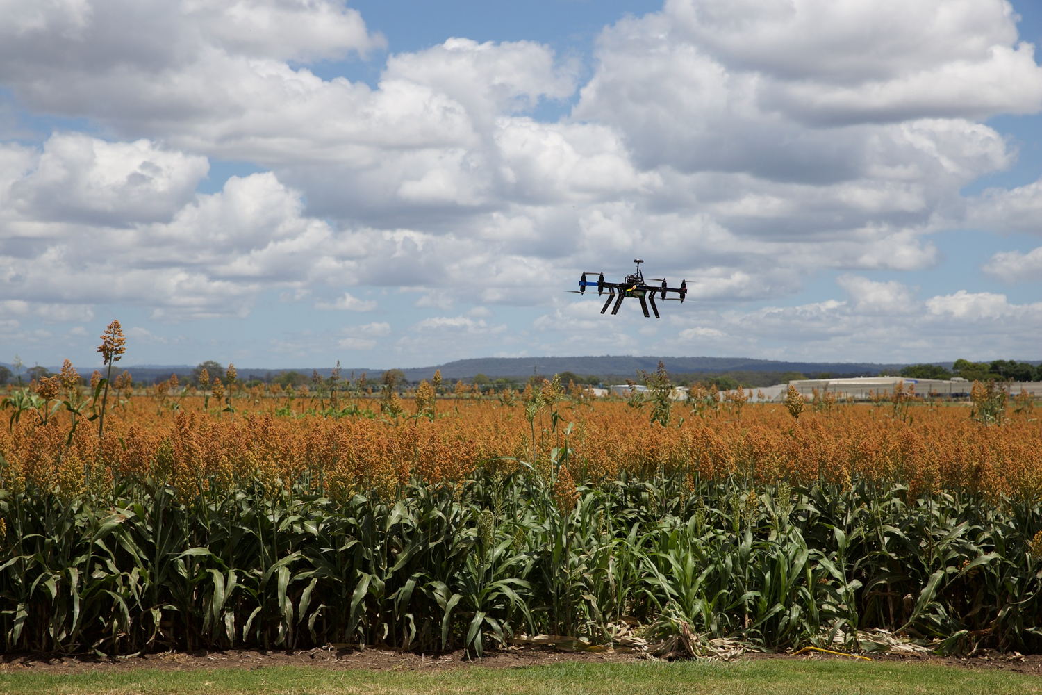 Crop monitoring using drone technology