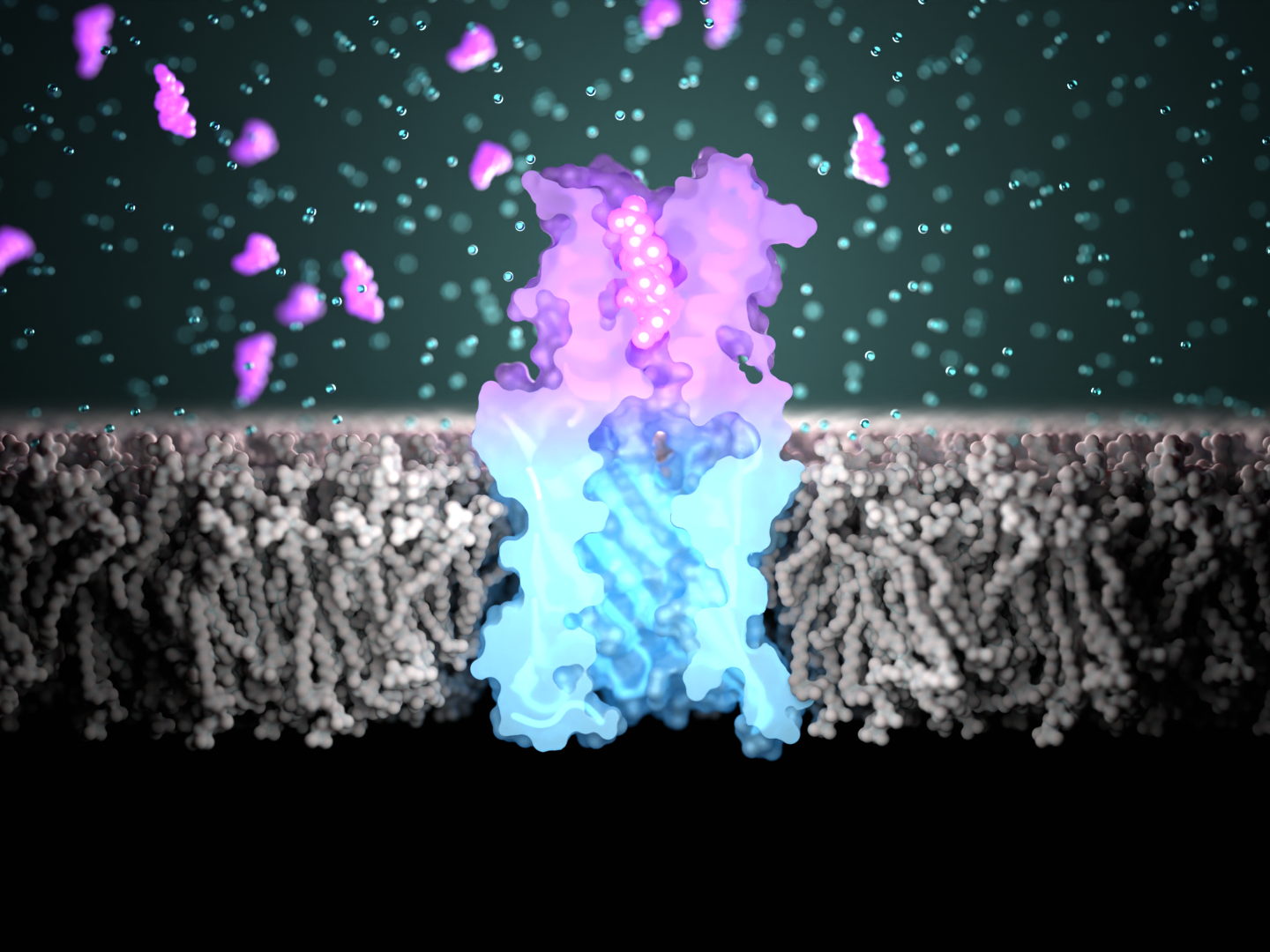 Unlocking the power of nanopores