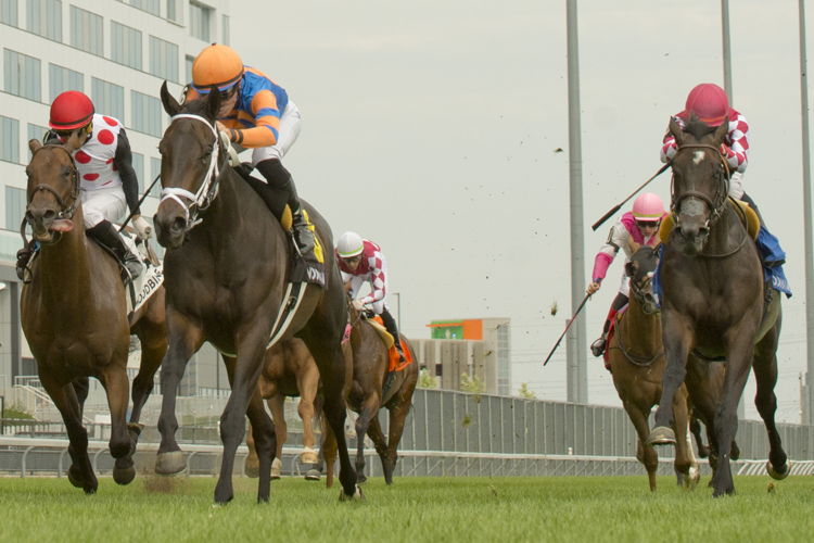 Love to Shop and jockey Emma-Jayne Wilson winning the Toronto Cup presented by Crown Royal on September 3, 2023 at Woodbine (Michael Burns Photo) 