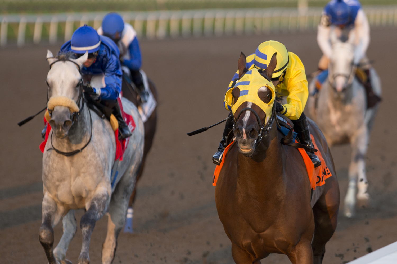 Patches O'Houlihan and jockey Sofia Vives winning the Branded Cities Vigil Stakes (G3) on September 14, 2024 at Woodbine (Michael Burns Photo)