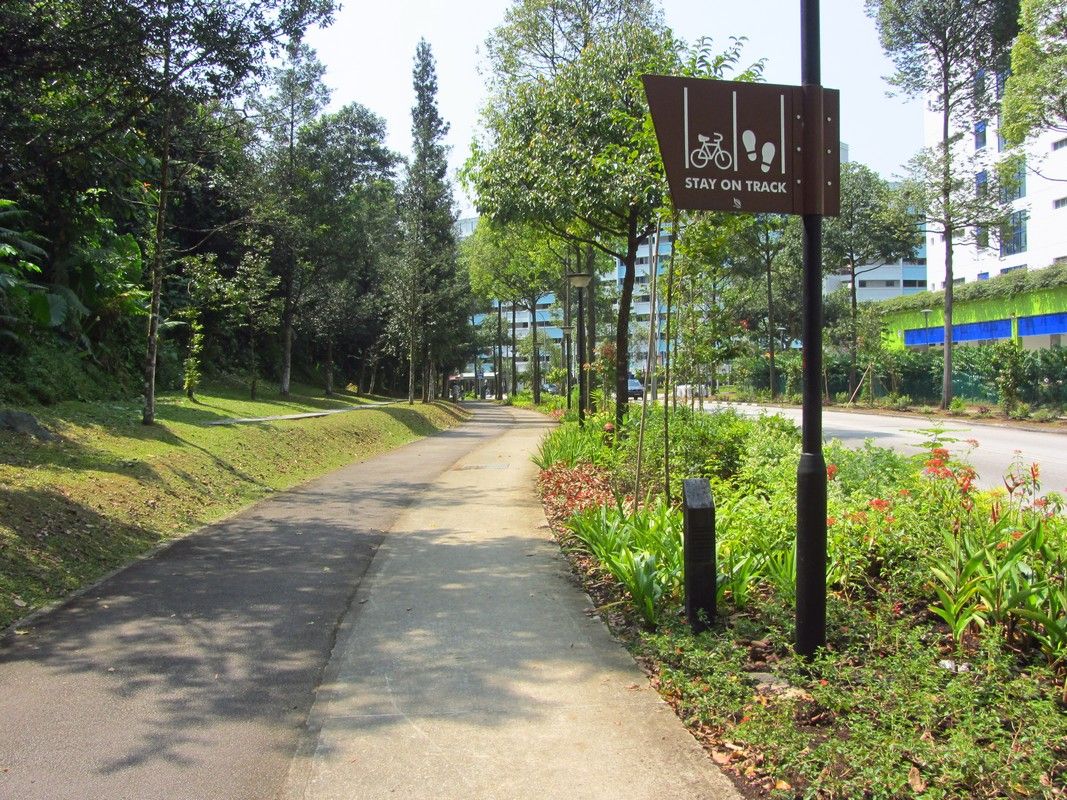 Bukit Batok East Park Connector. Image courtesy of NParks