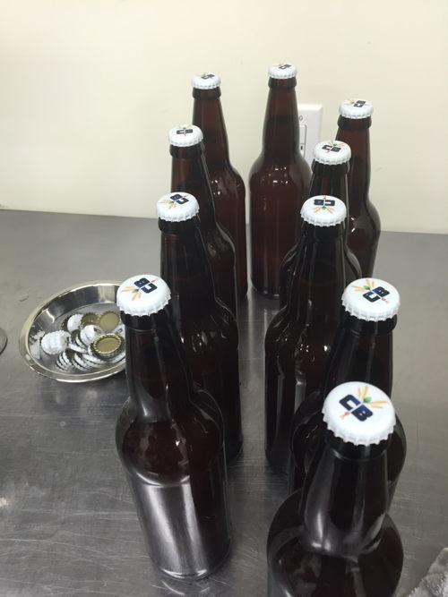Capped bottles of cantaloupe gose will be conditioned for 2 weeks before they're ready to drink
