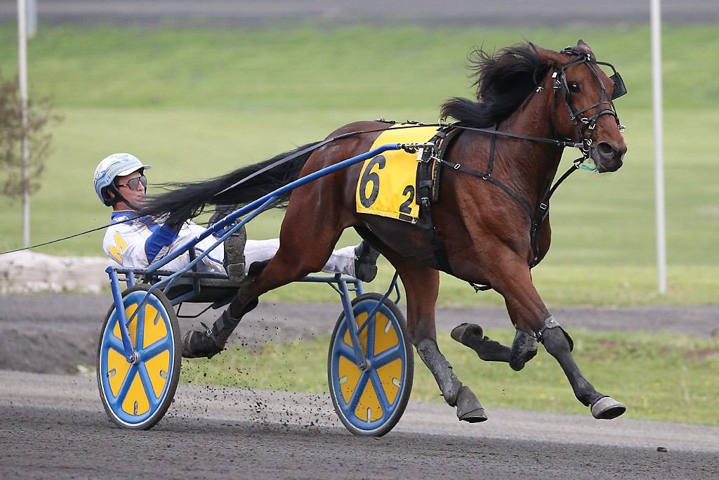 Adare Castle winning the SBOA 3-Year-Old Filly Trot. (New Image Media)