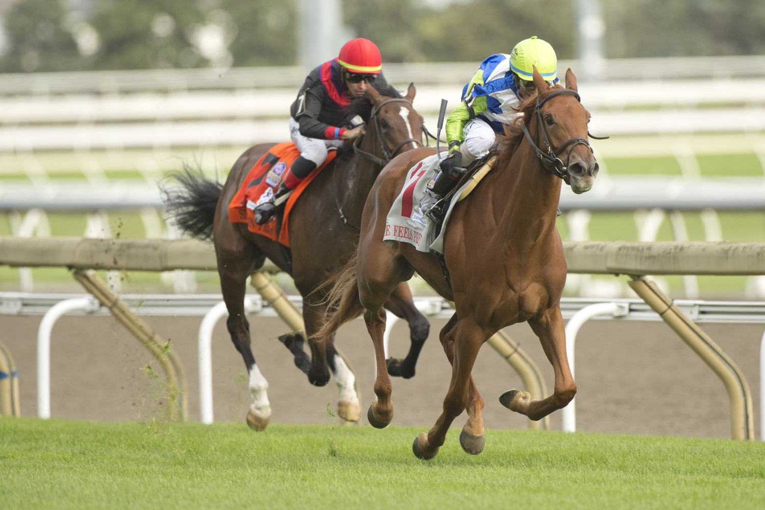 She Feels Pretty and John Velazquez winning the Grade 1 Natalma on Saturday at Woodbine Racetrack. (Michael Burns Photo)