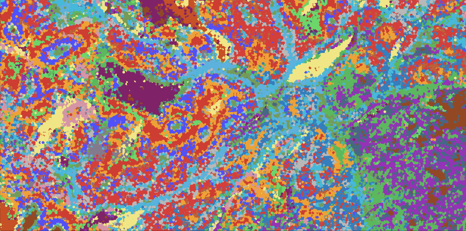 Spatial distribution of different melanoma cell populations in their microenvironment.