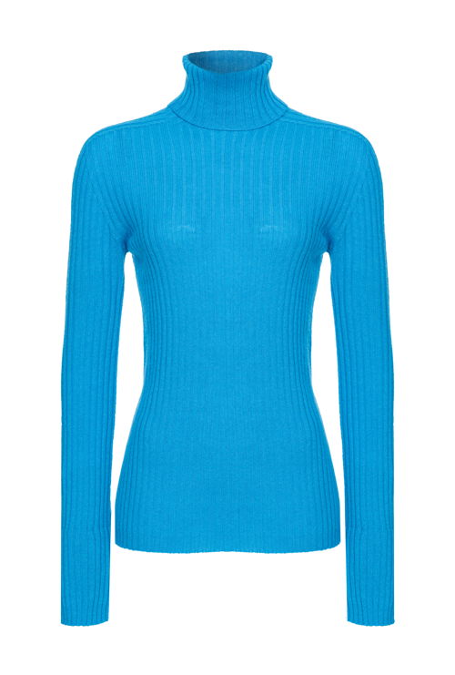PINKO_FW2425_104344_235EUR