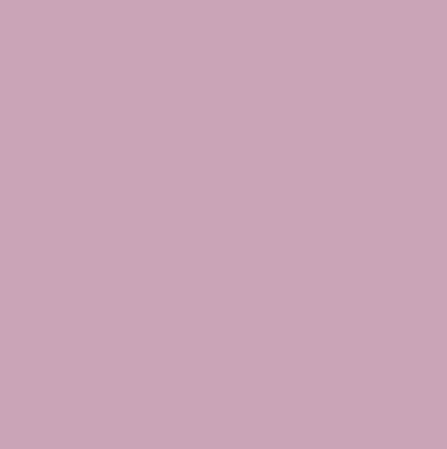 Shallot No. CB3