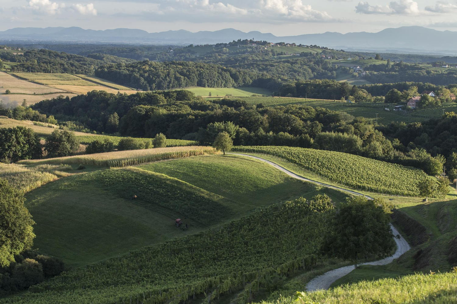 medjimurje-landscape-optimized-for-web-bojan-haron-markicevic