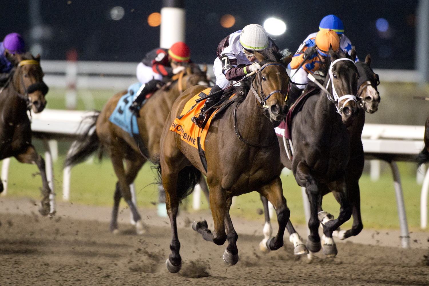 Loyalty and jockey Kazushi Kimura winning the Bessarabian Stakes on November 11, 2023 at Woodbine (Michael Burns Photo)