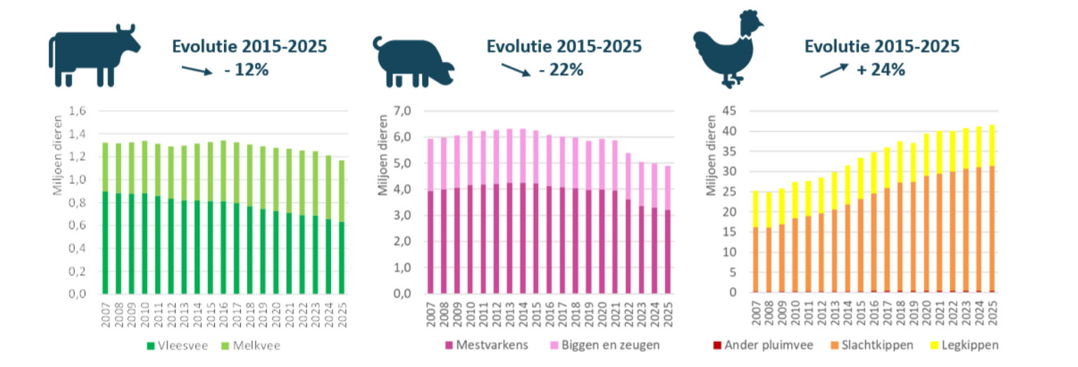 De evolutie van de dieraantallen in één oogopslag. ©VLM De evolutie van de dieraantallen in één oogopslag. ©VLM