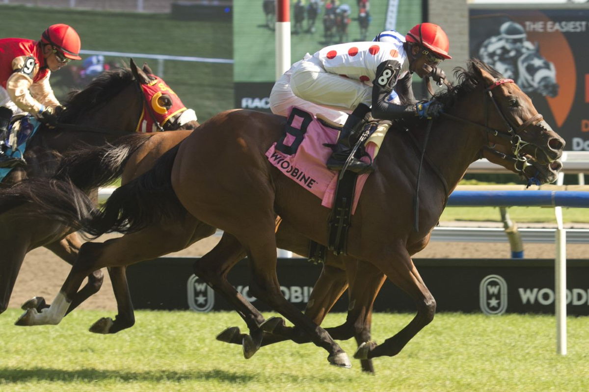 Souper Hoity Toity and Jockey Patrick Husbands winning the Ontario Colleen Stakes on August 6 2022 at Woodbine. (Michael Burns Photo)