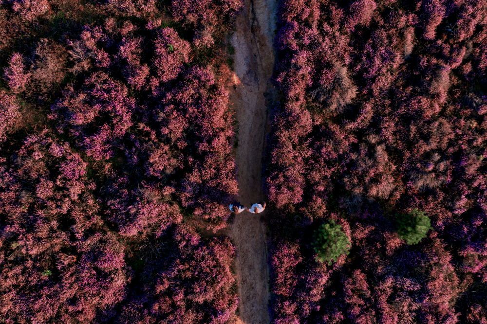 Veluwe