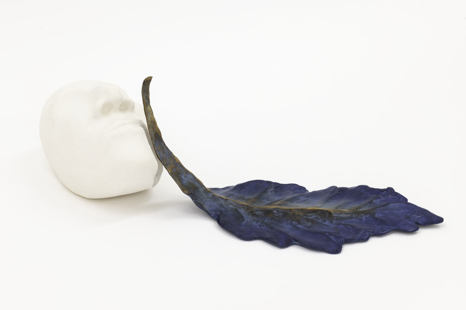 5. ‘Touched’, Grace Schwindt, 2014 © the artist, courtesy Galerie Peter Kilchmann Zurich-Paris
