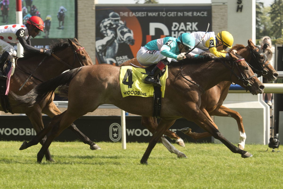Crystal Cliffs (4) dead-heats with Lady Speightspeare in the Grade 2 Nassau on July 2. (Michael Burns Photo)
