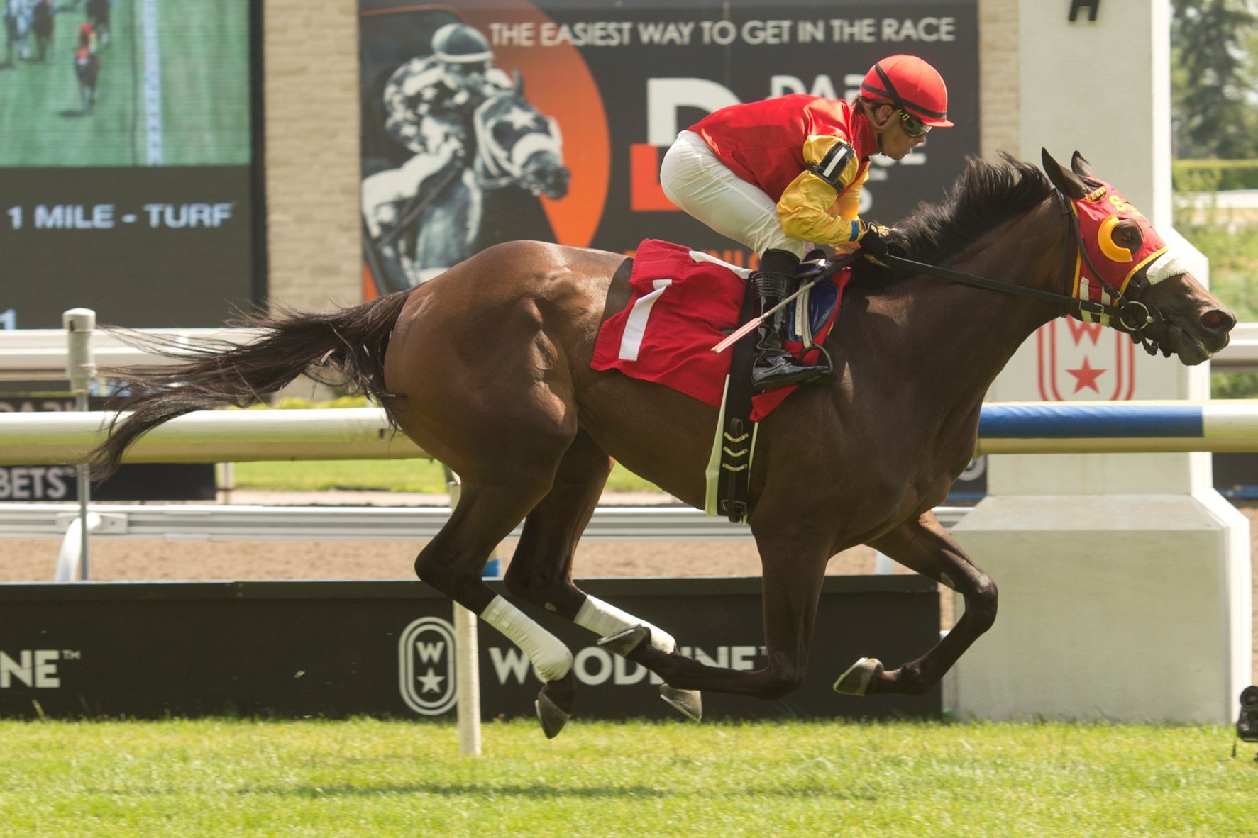 Ladywearsthering and Justin Stein winning on July 2, 2022 at Woodbine. (Michael Burns Photo)