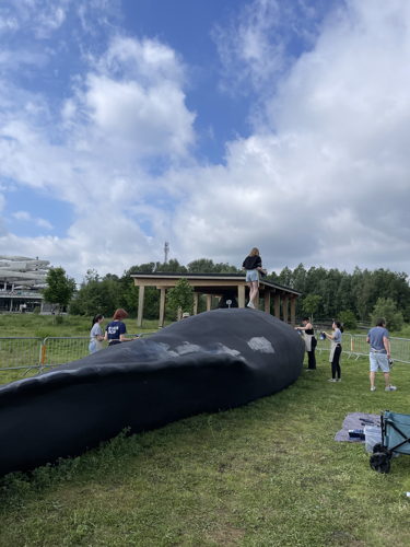 (C)IOBZ EVH Wij Zjn De Walvis Kortrijk 27 (C)IOBZ EVH Wij Zjn De Walvis Kortrijk 27