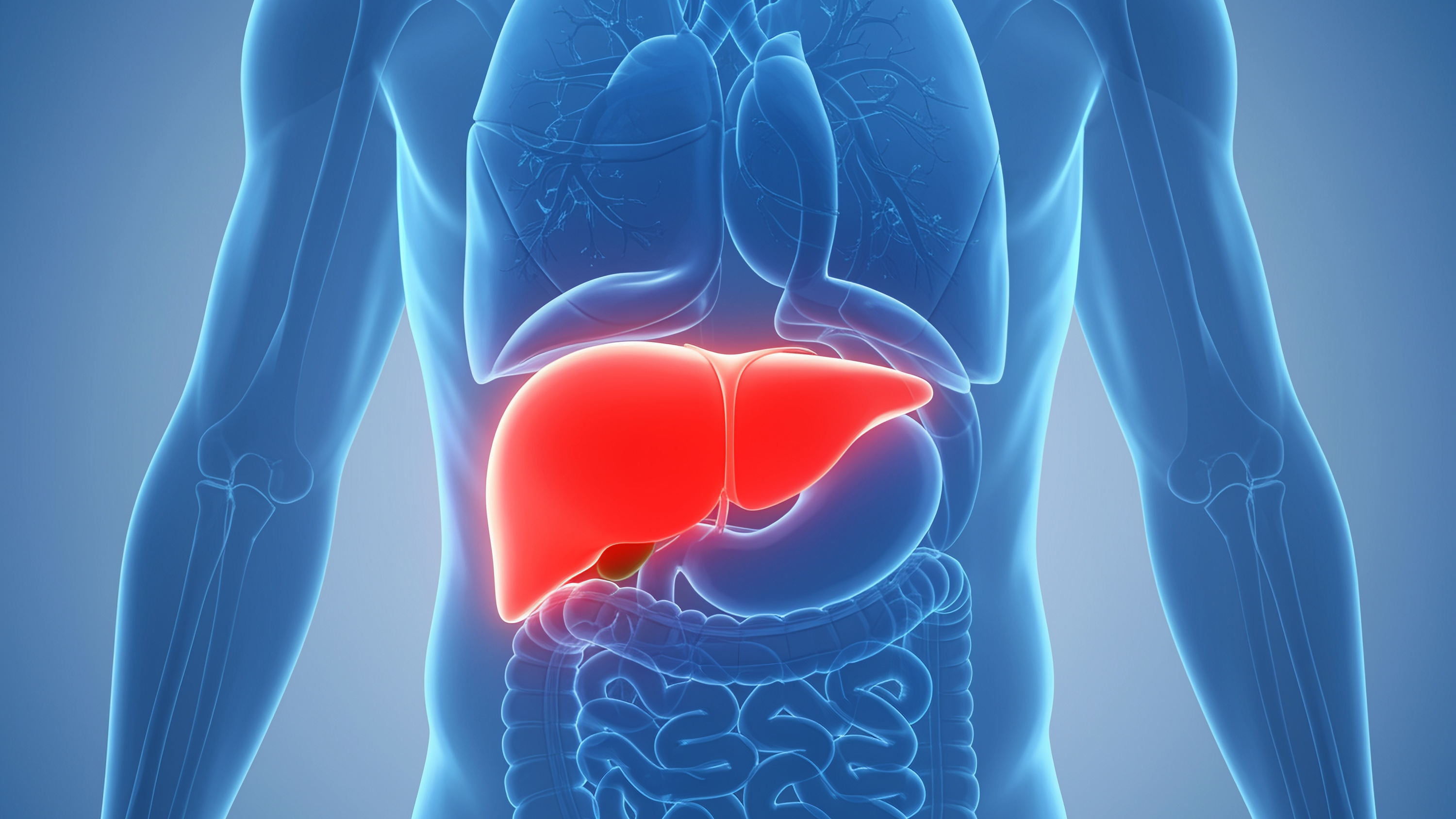 “Een lever die ziek is, schreeuwt zelden luid"  