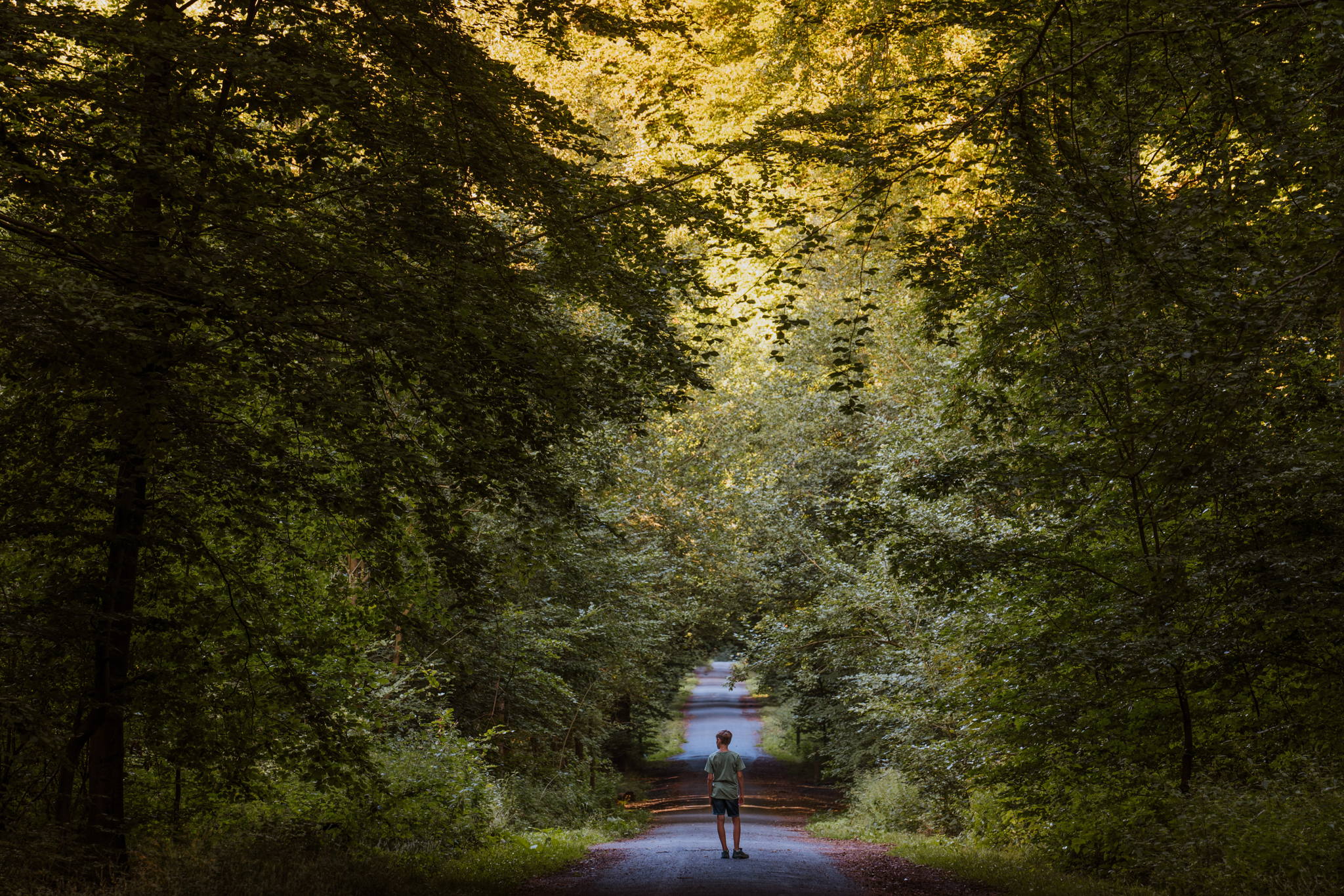 Nationaal Park Brabantse Wouden - Zoniënwoud ​ BjornSnelders