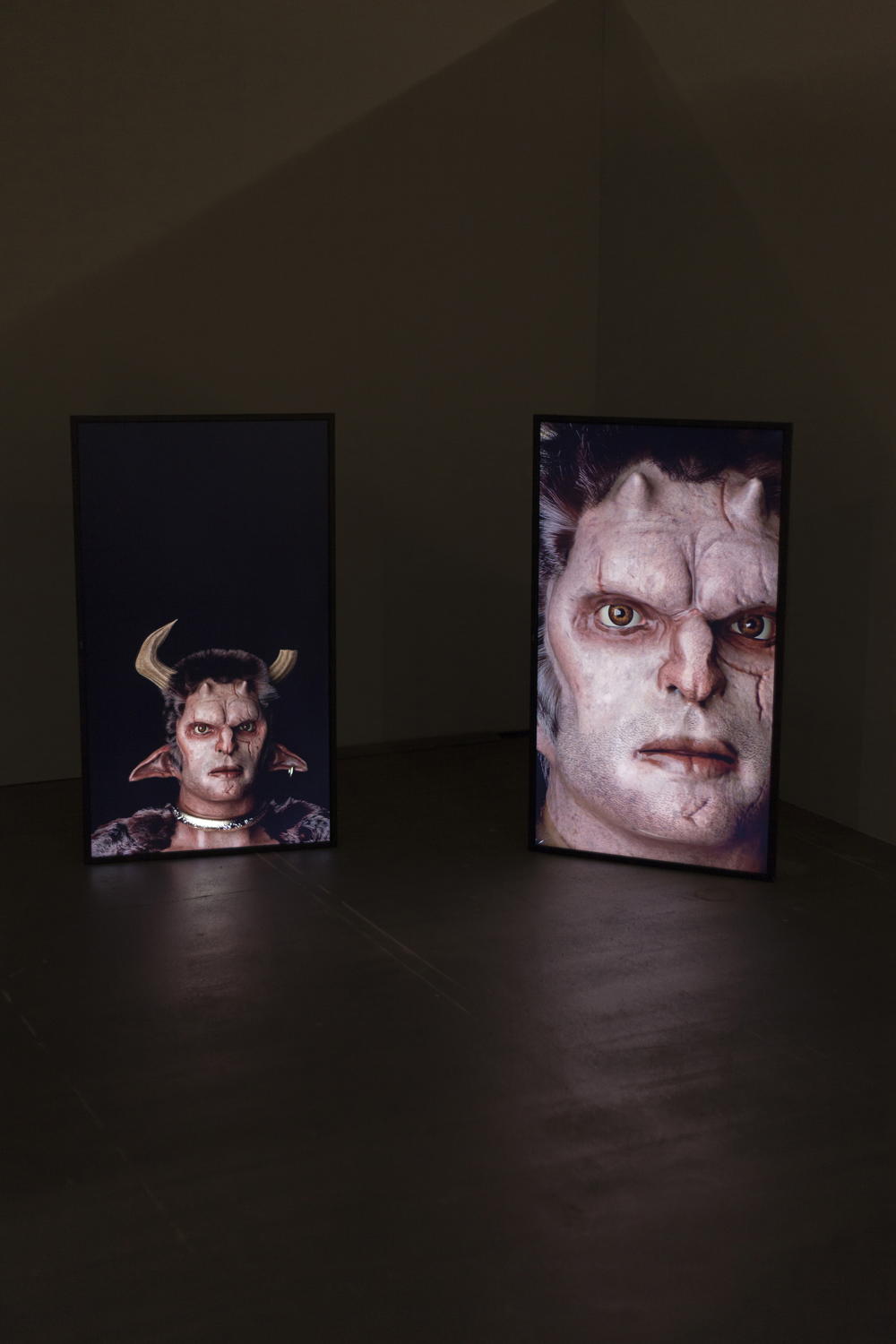 Cihad Caner, Demonst(e)rating the untamable monster, 2019, 2K, Installation shot