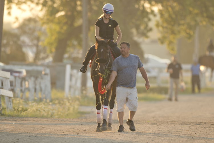 Kevin Attard walks Moira on the Woodbine Backstretch in 2022 (Michael Burns Photo)