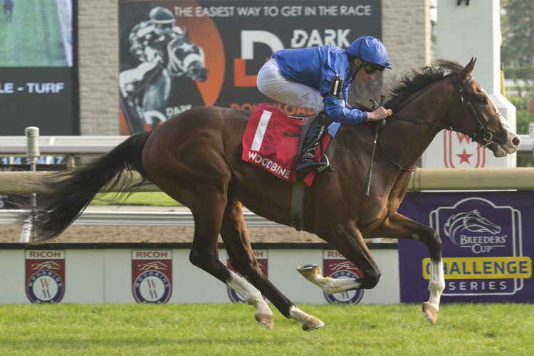 Mysterious Night (IRE) winning the Pattinson Summer Stakes on Saturday at Woodbine (Michael Burns Photo)