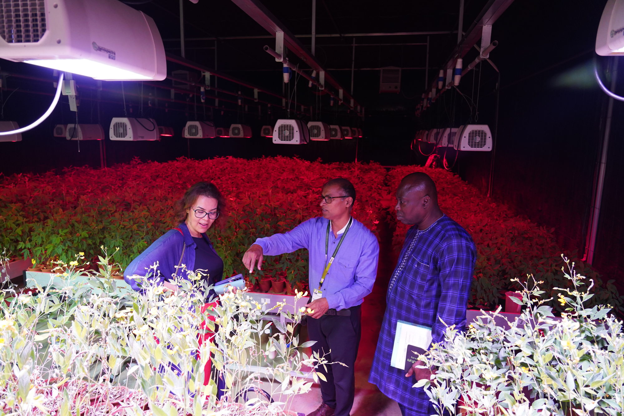 Dr Elouafi visits the ICRISAT Rapid Generation Advancement Facility