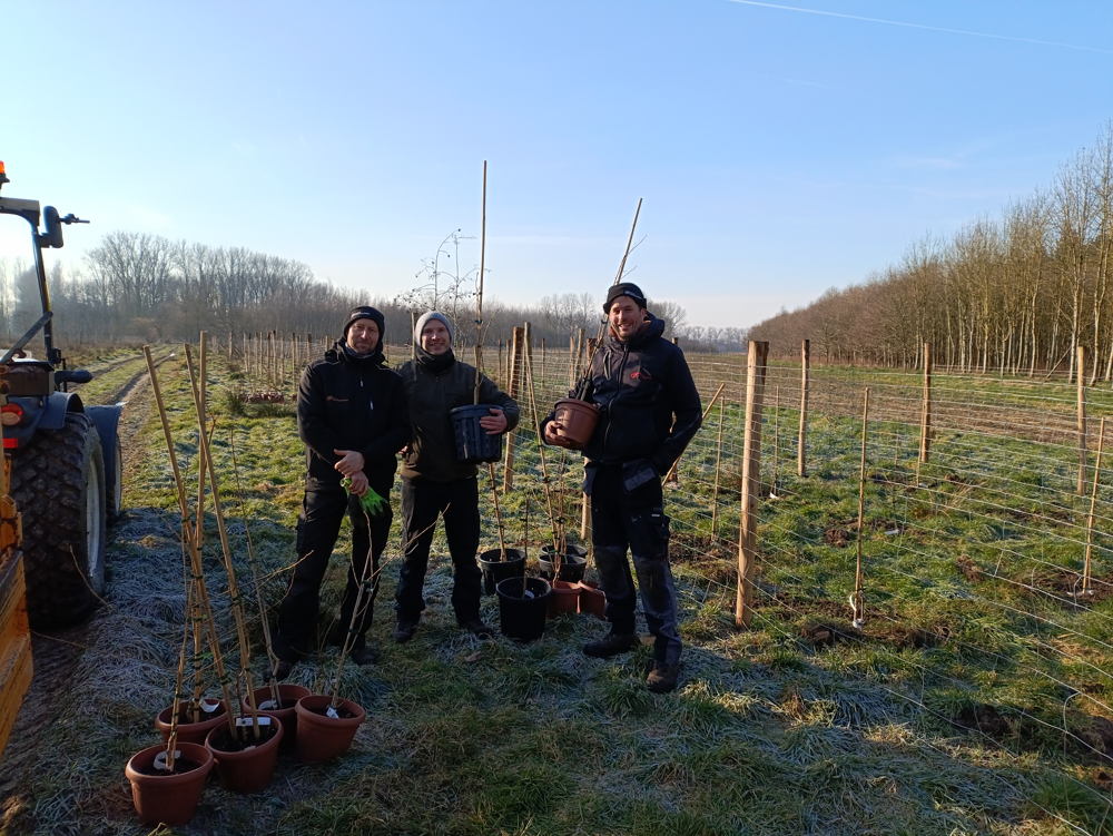 Enten planten in Het Leen in Eeklo