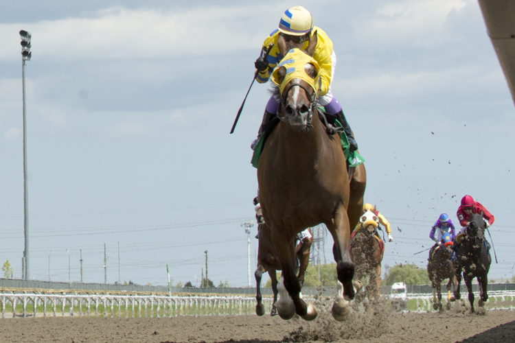 Patches O'Houlihan and jockey Daisuke Fukumoto winning the Lake Superior Stakes on July 30, 2023 at Woodbine (Michael Burns Photo)