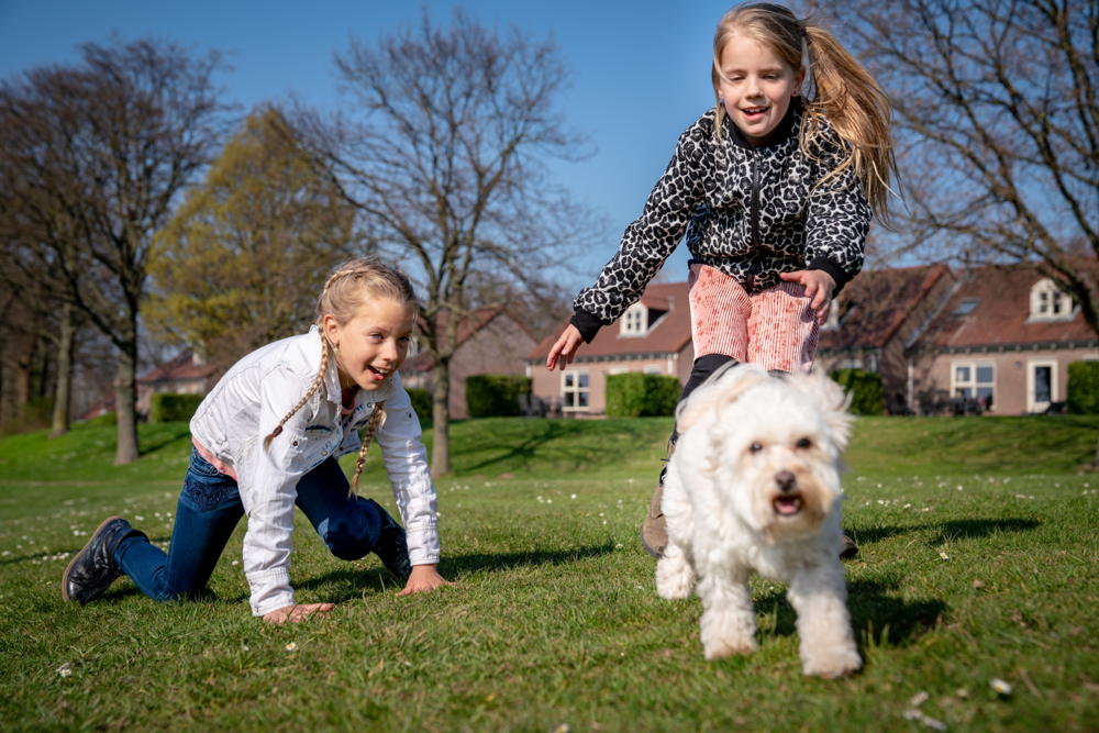 Honden op Landal Hoog Vaals