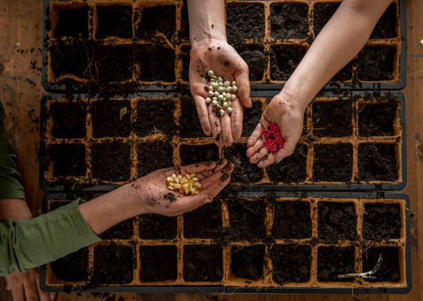 Seeds of Opportunity: The African Growth Series