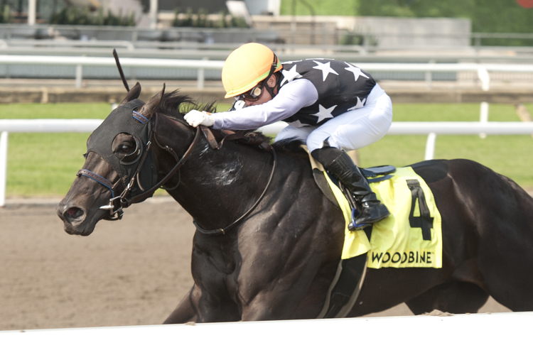Notorious Gangster and jockey Fraser Aebly winning the Queenston Stakes on June 8, 2025 at Woodbine (Michael Burns Photo)