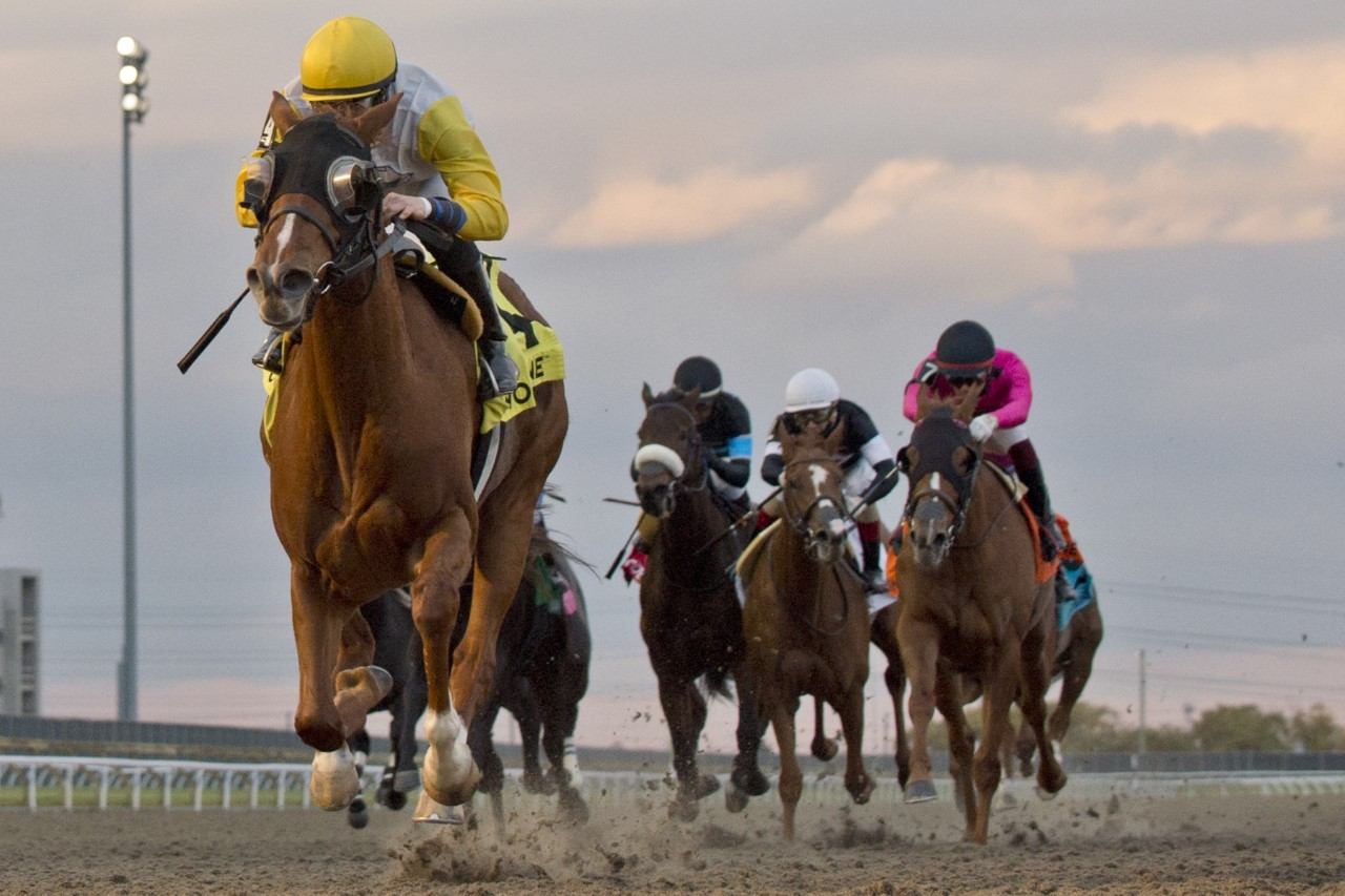 Lady Speightspeare shows her true colours winning the Grade 2 Bessarabian Stakes with Emma Jayne Wilson at Woodbine. (Michael Burns Photo)