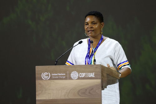 Elisabeth Nsimadala, President of Eastern Africa Farmers Federation of Uganda 