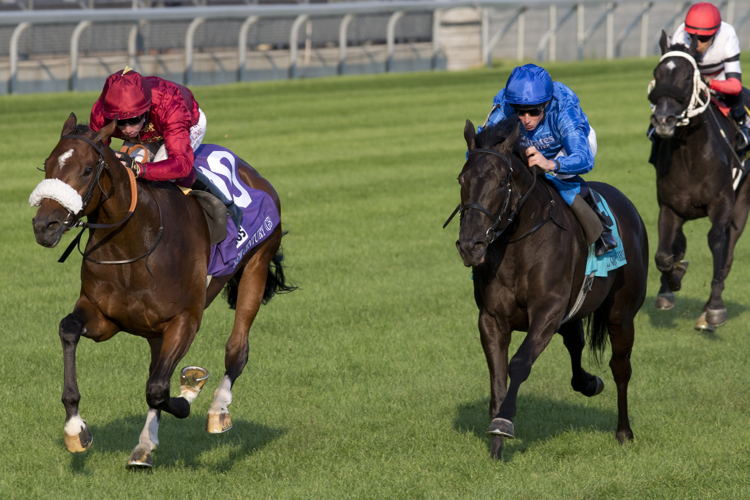 New Century (GB) and jockey Oisin Murphy winning the bet365 Summer Stakes (G1) on September 14, 2024 at Woodbine (Michael Burns Photo)