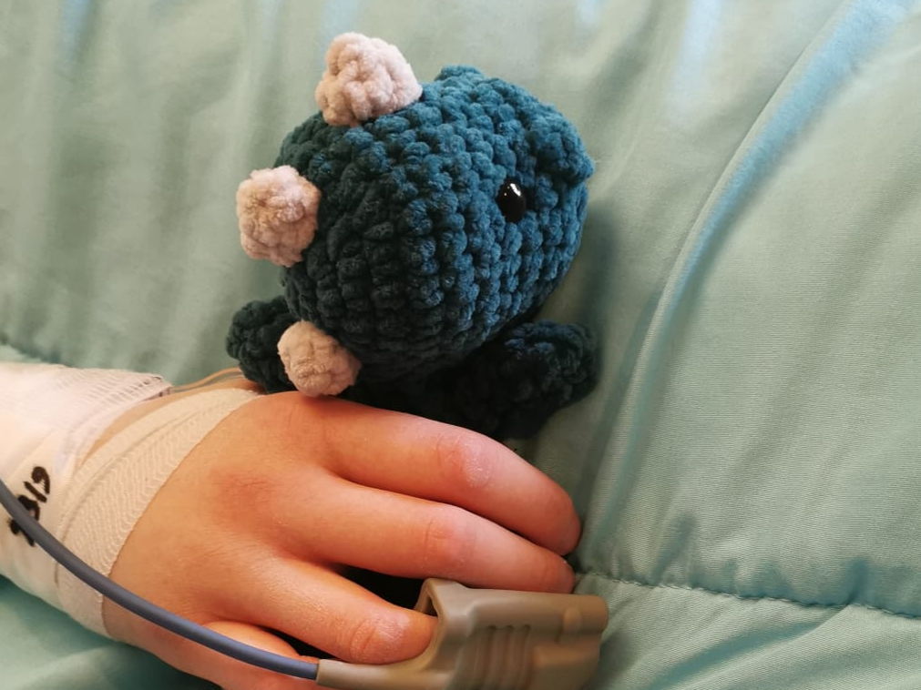 Troost in een draadje wol – hoe Elien met haar knuffeltjes kinderen blij maakt