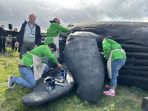 ©IOBZ SW_Wij zijn de Walvis - Kortrijk 2025 ©IOBZ SW_Wij zijn de Walvis - Kortrijk 2025