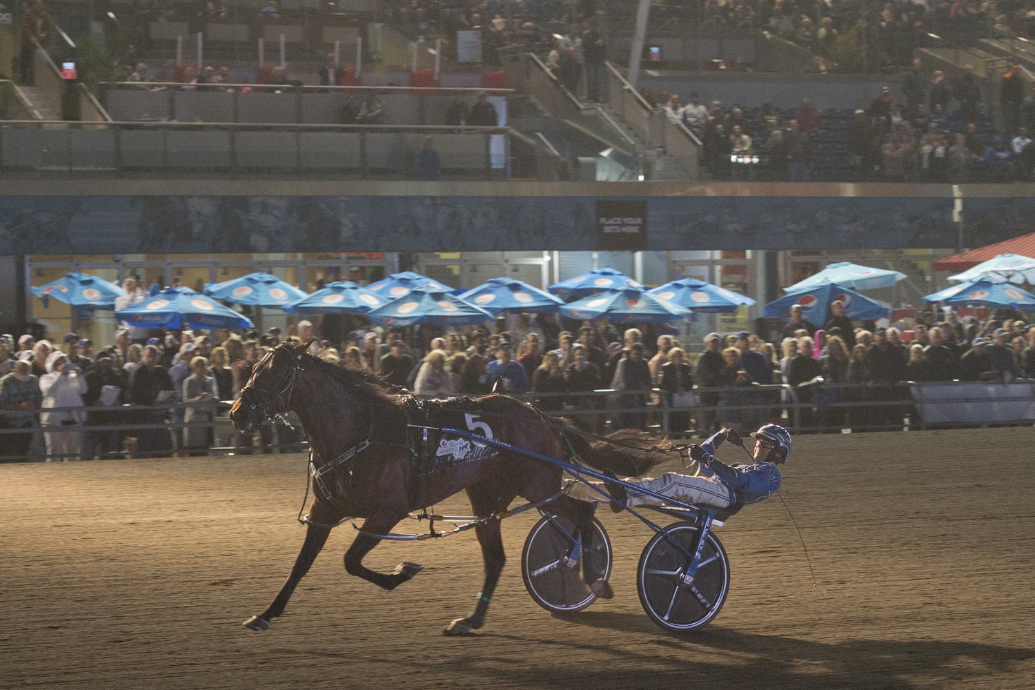 The view from inside of Pebble Beach winning the North America Cup at Woodbine Mohawk Park. (Michael Burns Photo)